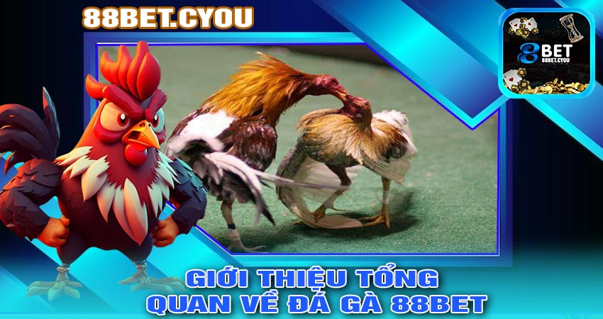 Giới thiệu tổng quan về ĐÁ GÀ 88BET