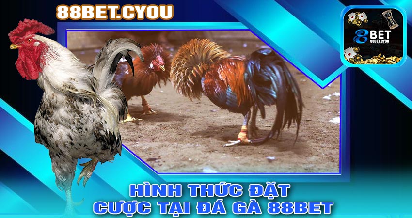 Hình thức đặt cược tại ĐÁ GÀ 88BET