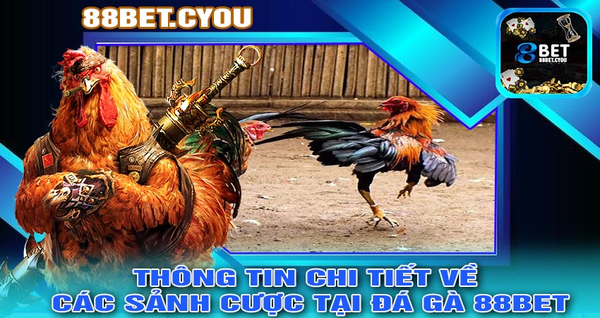 Thông tin chi tiết về các sảnh cược tại ĐÁ GÀ 88BET